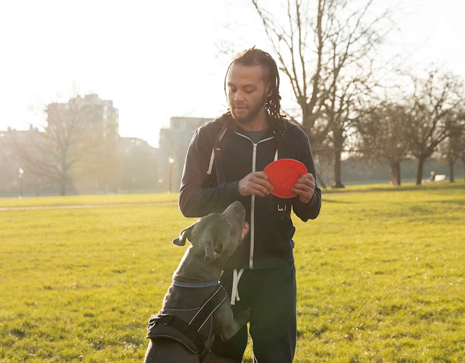 dog training west palm beach fl