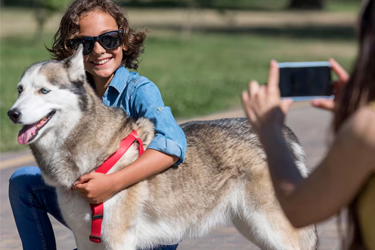 dog training west palm beach fl