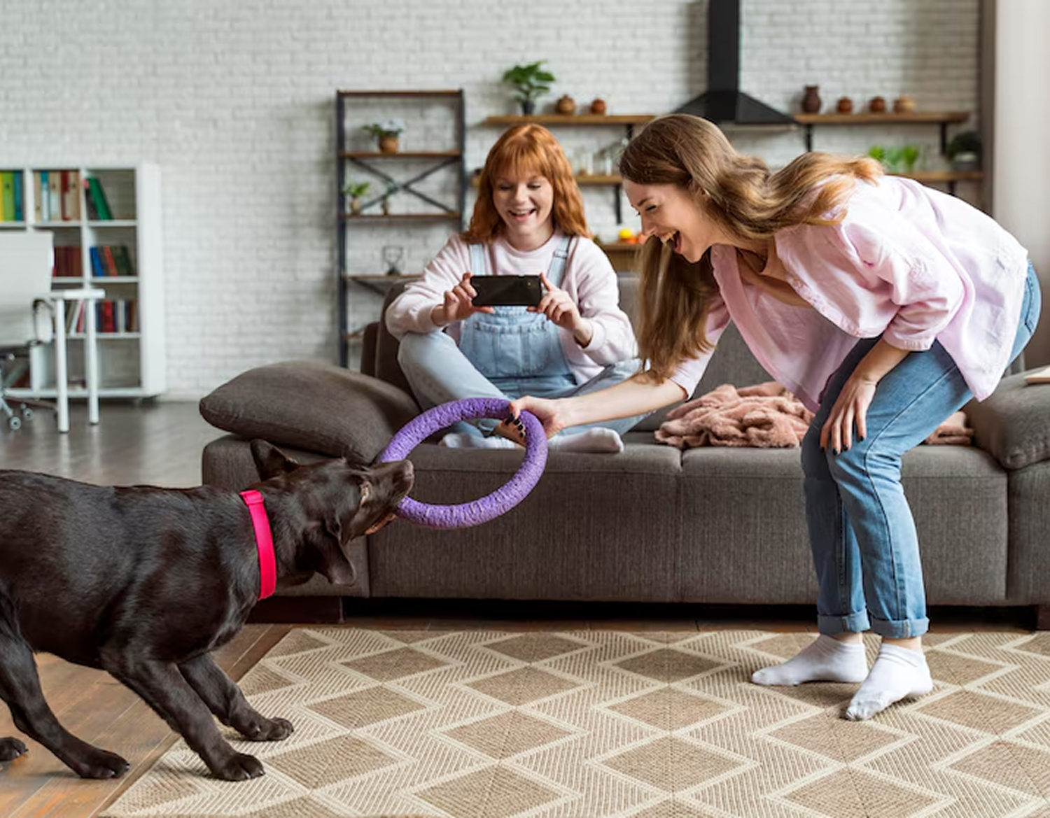 dog training west palm beach fl