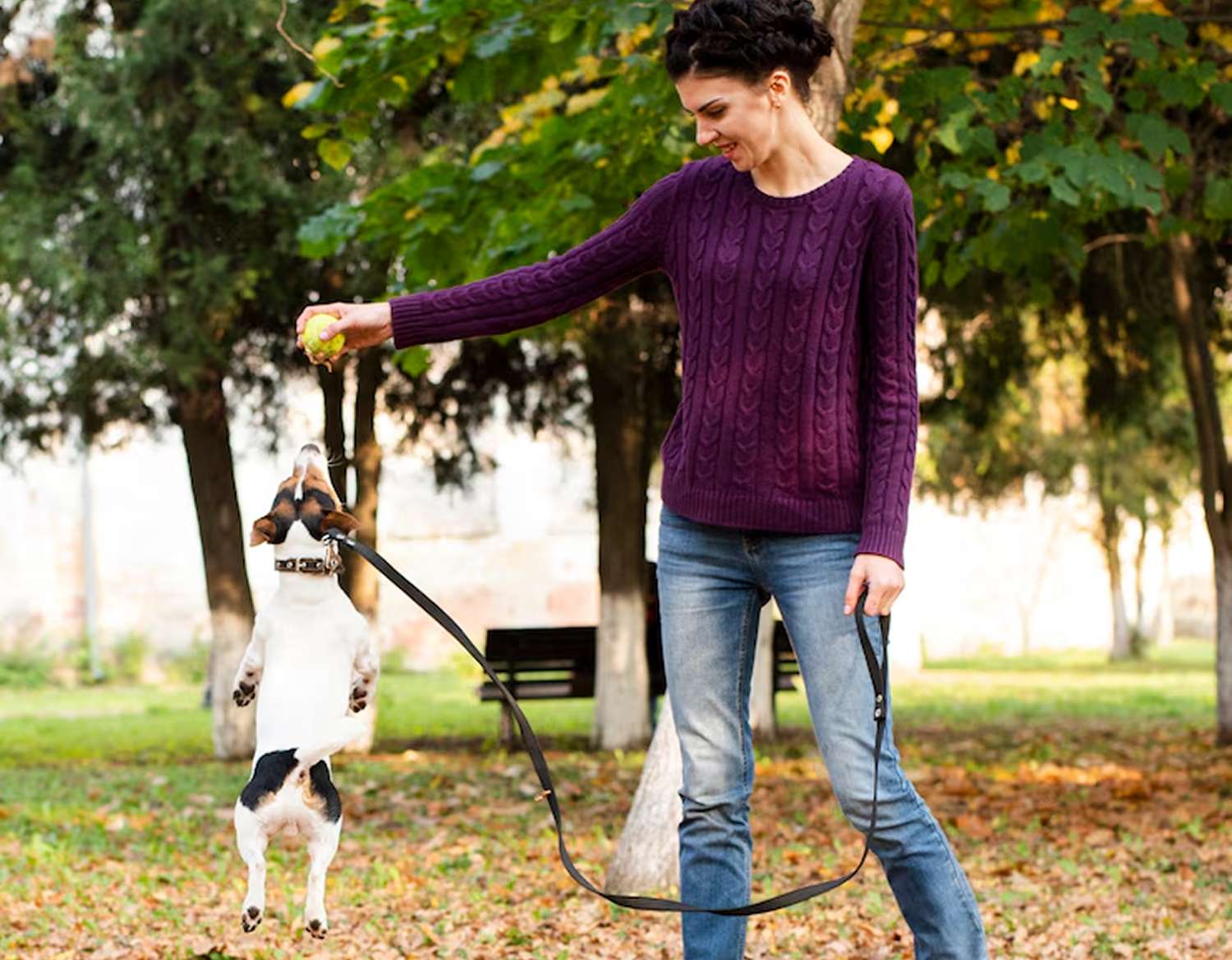 dog training west palm beach fl