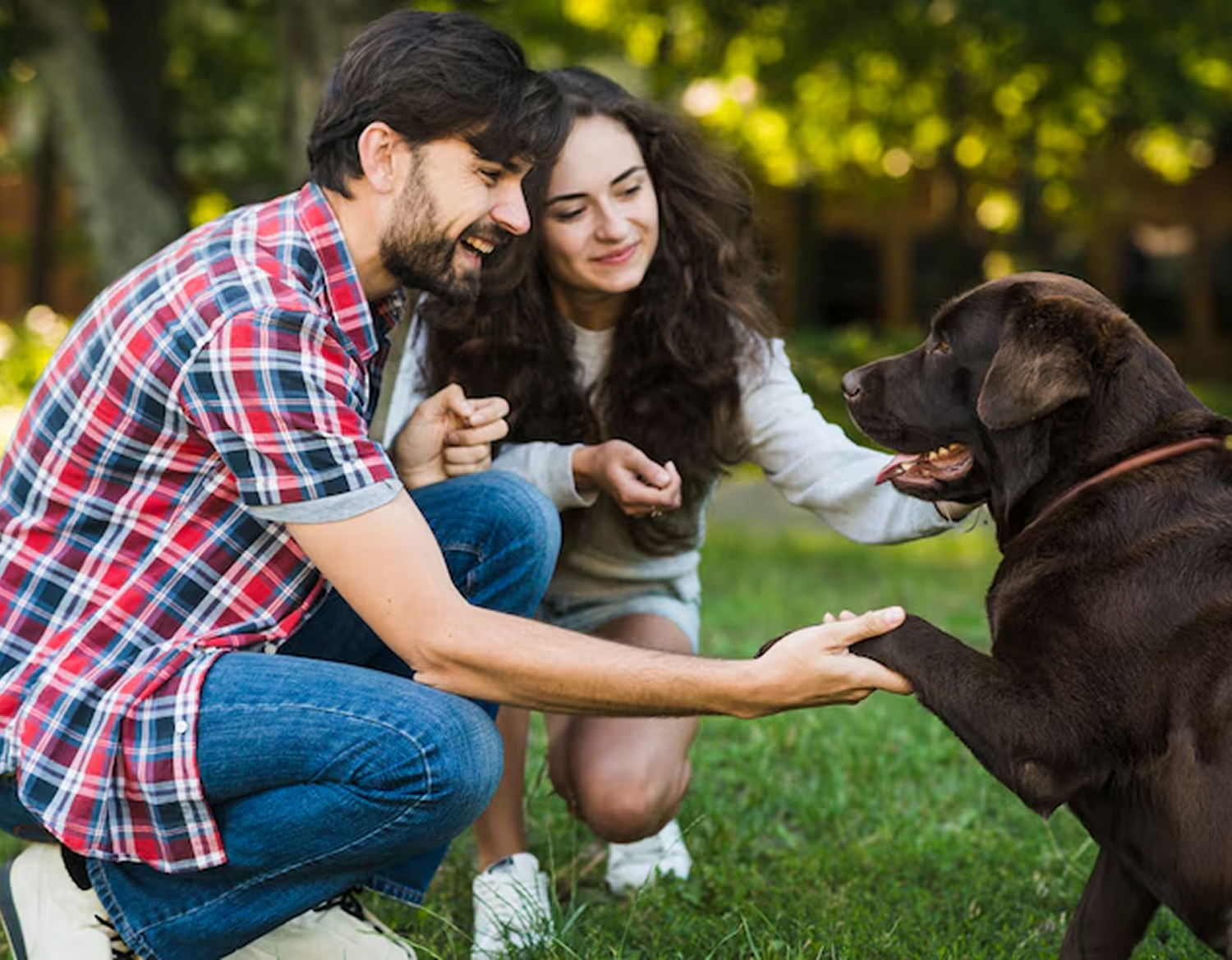 dog training west palm beach fl