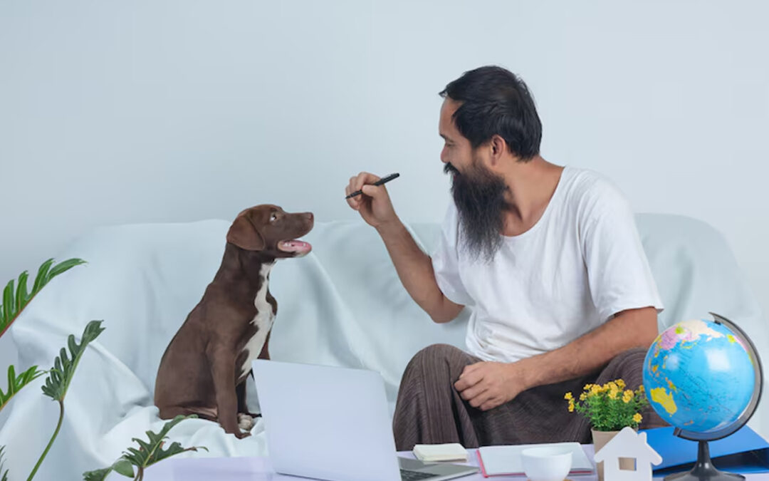 dog training west palm beach fl