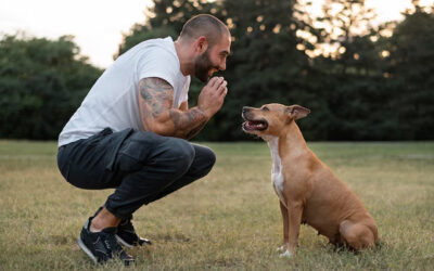 The Ultimate Guide to Safe and Efficient Boat Boarding: Tips for First-Time and Experienced Boaters