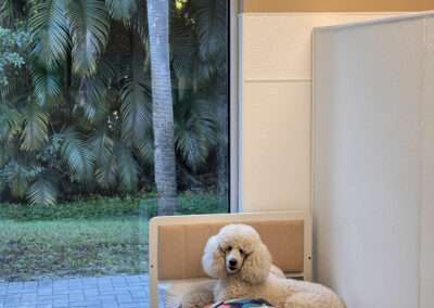 dog training west palm beach fl