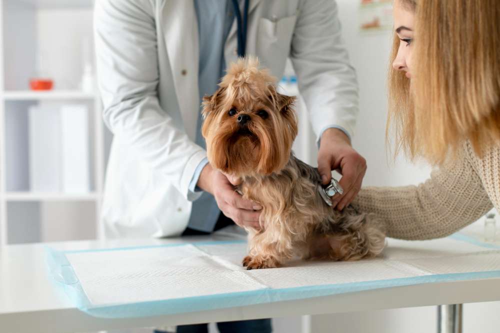 Pet-Health