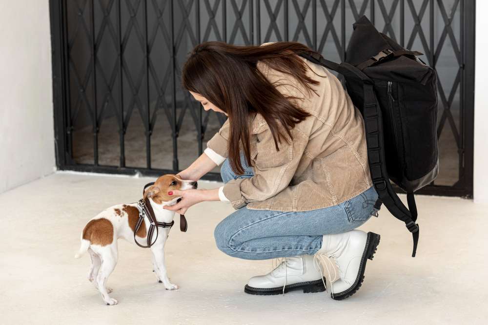 dog boarding trial West Palm Beach