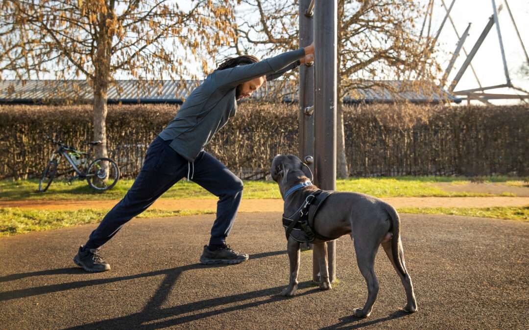 Dog Day Care West Palm Beach