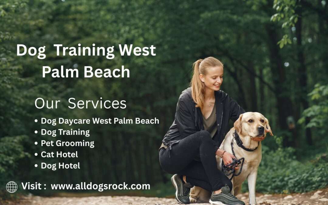 Dog Training West Palm Beach