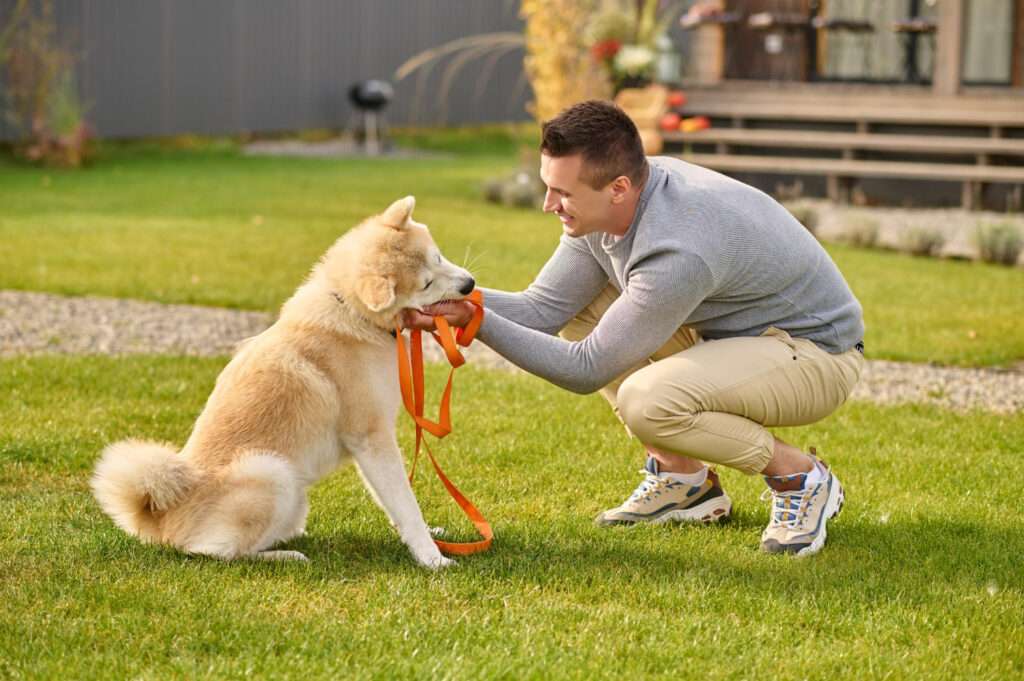 Positive dog training Lake Worth