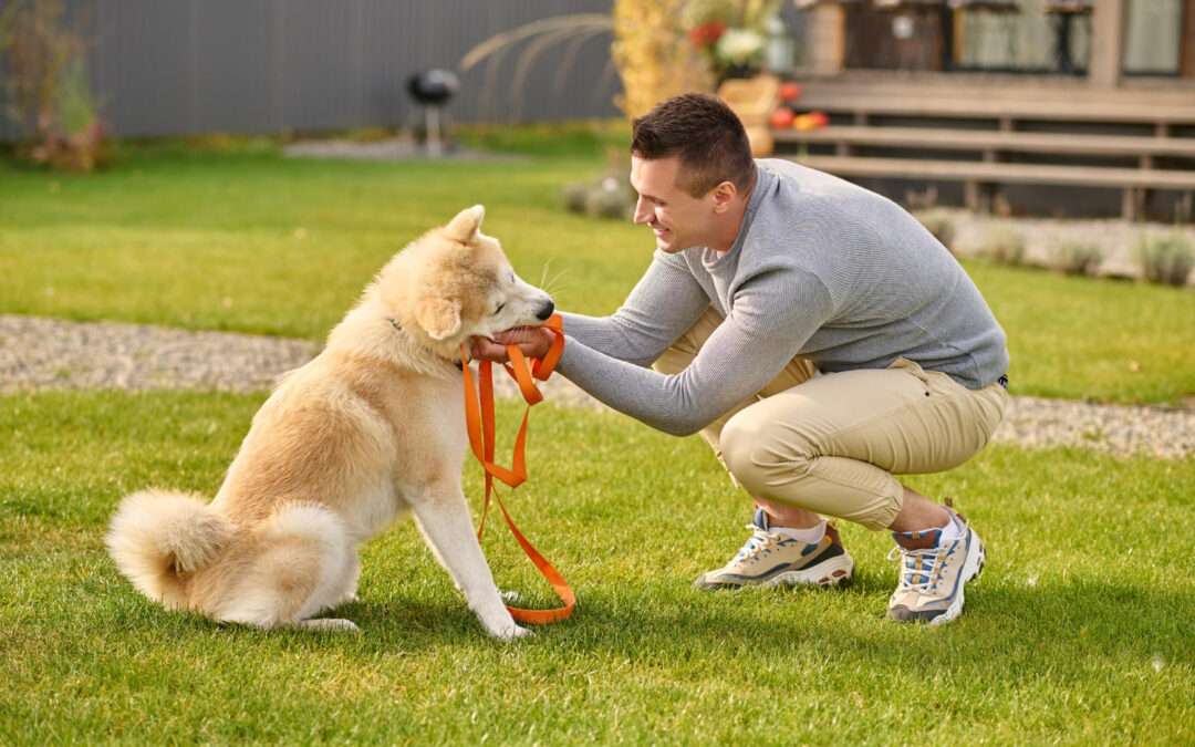 Positive dog training Lake Worth