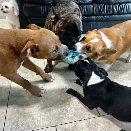 daycare