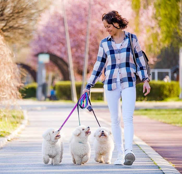 Pet Insurance