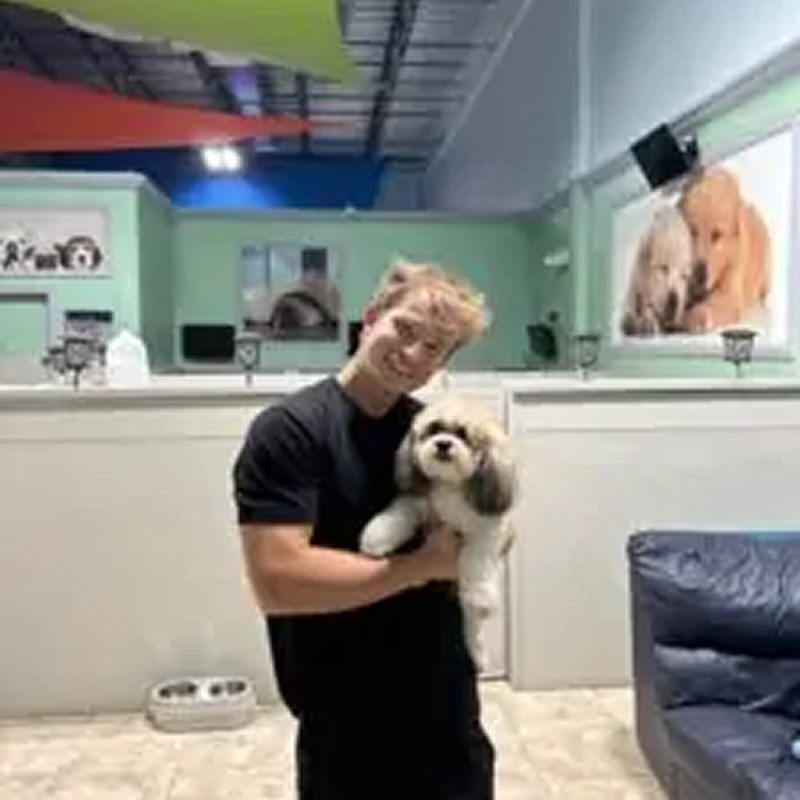 professional dog trainer near me