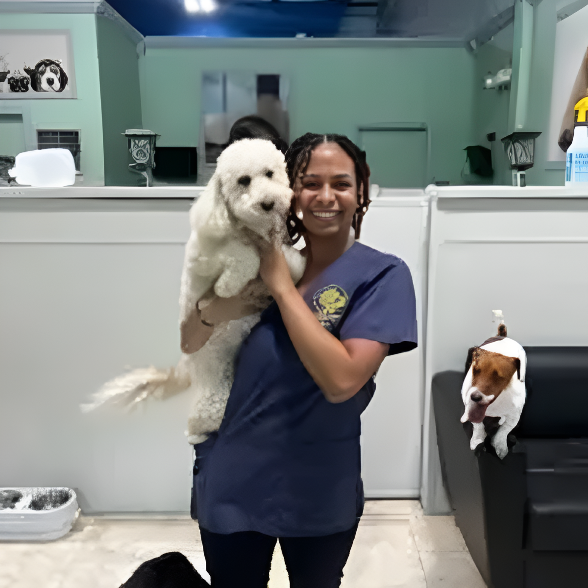 Dog Boarding West Palm Beach - All Dogs Rock