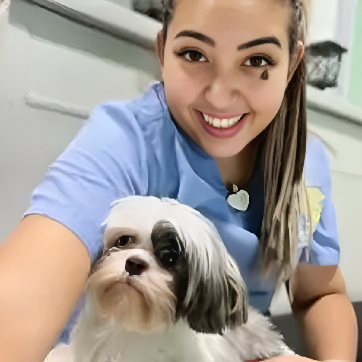 Dog Daycare West Palm Beach