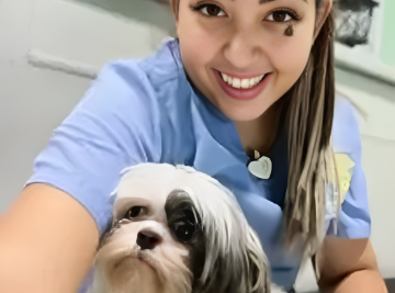 Dog Daycare West Palm Beach