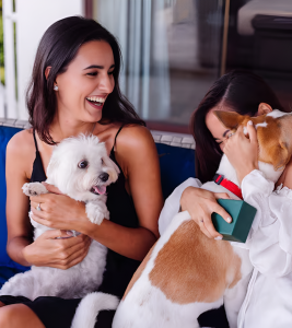 Puppy Daycare