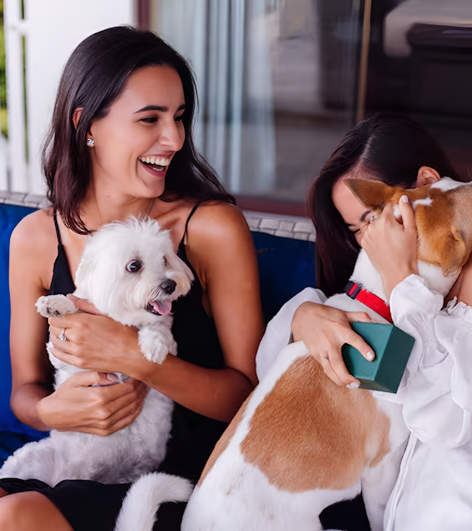 Puppy Daycare