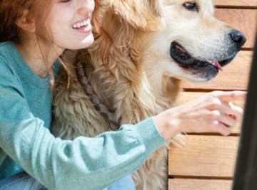 Dog Daycare In West Palm Beach