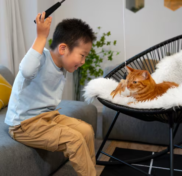Cat Grooming Riviera Beach