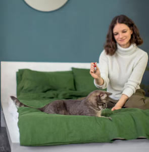 Pet boarding