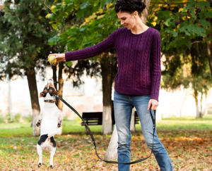 Best Dog Trainers in Lantana
