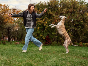 Dog Trainers