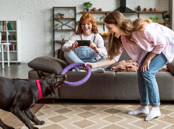 dog boarding near West Palm Beach