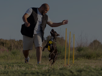 Canine Dog Training in West Palm Beach