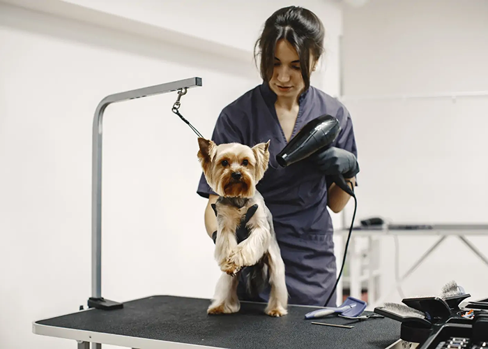 Pet Grooming