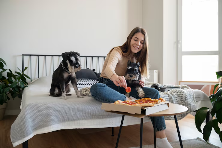 Dog hotel in West Palm Beach