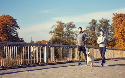 Is Pet Insurance Worth It in West Palm Beach? A Local Perspective