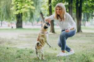 Leash Training