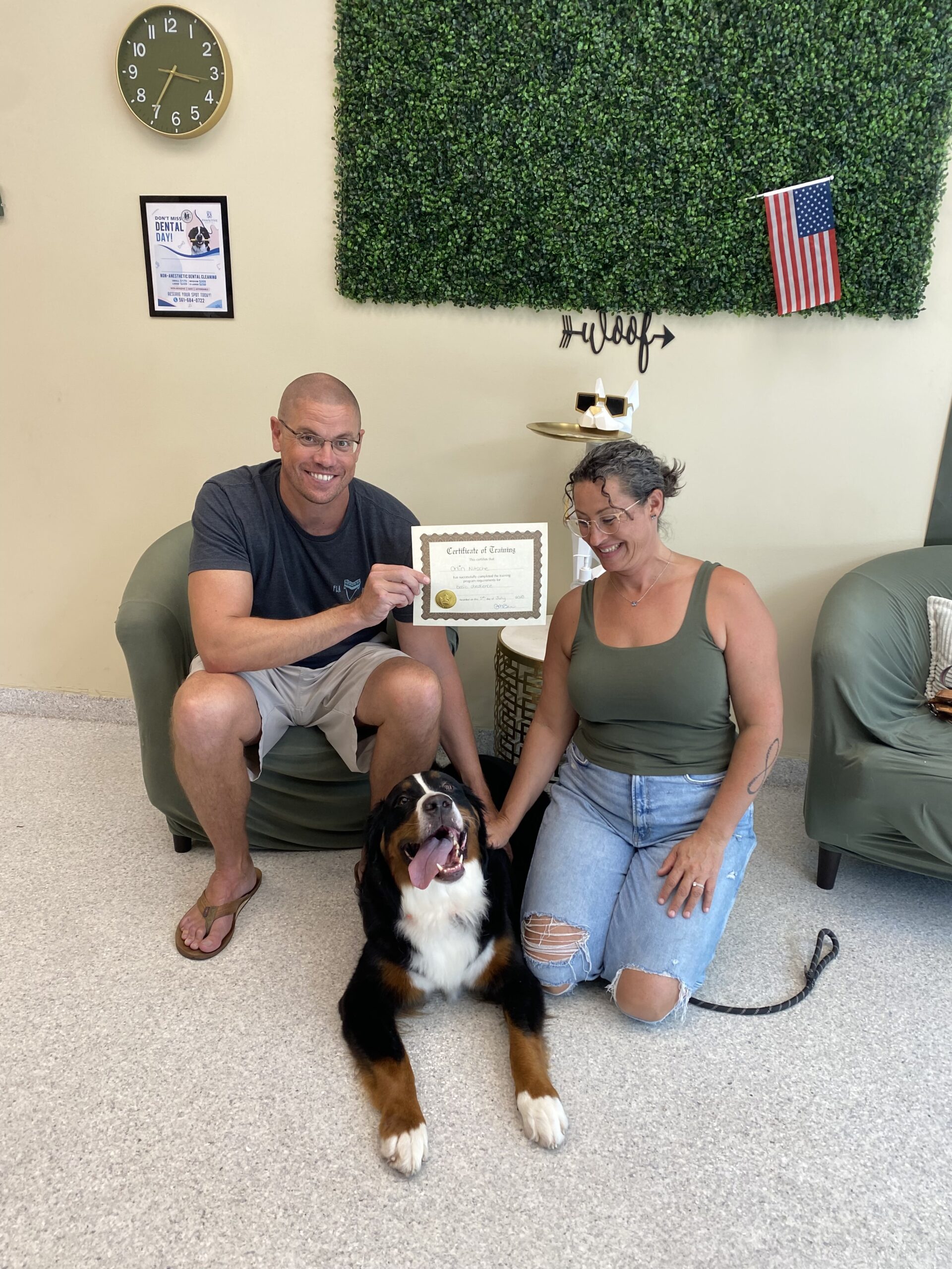 puppy training west palm beach