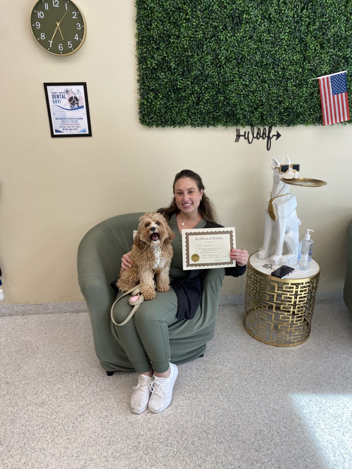 dog training services west palm beach