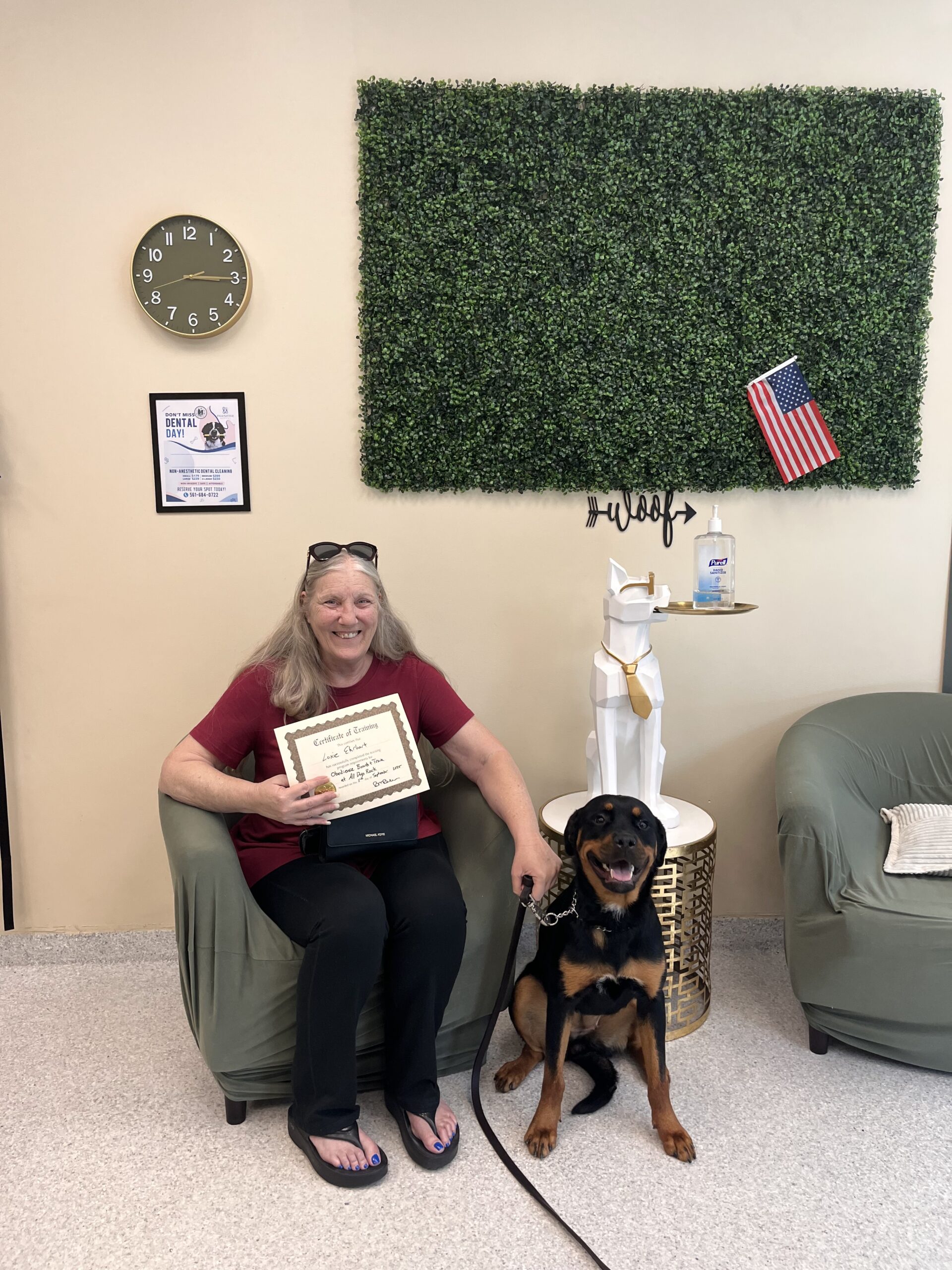 dog training near me